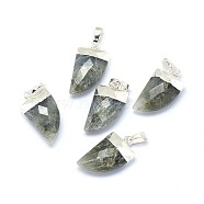 Natural Labradorite Pendants, with Long-Lasting Plated Brass Findings, Faceted, Scabbard, Silver Color Plated, 19.5x11x5mm, Hole: 3.5x5.5mm(G-F584-B01-S)