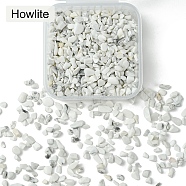 50G Natural Howlite Chip Beads, No Hole/Undrilled, 2~8x2~4mm(G-YW0001-70)