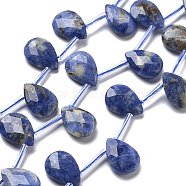 Natural Sodalite Beads Strands, Faceted, Teardrop, with Tube Beads, Top Drilled, 14x10.5x4~4.5mm, Hole: 0.5mm, about 24pcs/strand, 16.26''(41.3cm)(G-K382-C01-01)