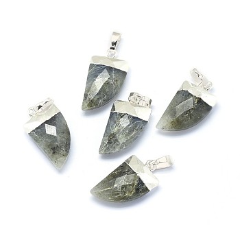 Natural Labradorite Pendants, with Long-Lasting Plated Brass Findings, Faceted, Scabbard, Silver Color Plated, 19.5x11x5mm, Hole: 3.5x5.5mm