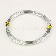 Round Aluminum Wire, Bendable Metal Craft Wire, Silver, 18 Gauge, 1.0mm, about 32.8 Feet(10m)/roll(X-AW-AW10x1.0mm-01)