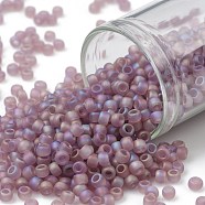 TOHO Round Seed Beads, Japanese Seed Beads, (166F) Transparent AB Frost Light Amethyst, 8/0, 3mm, Hole: 1mm, about 222pcs/10g(X-SEED-TR08-0166F)