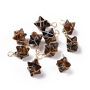 Natural Tiger Eye Copper Wire Wrapped Pendants, Merkaba Star Charms, Golden, 26~31x20~21x13~15mm, Hole: 5~5.5mm(G-B041-02G-15)