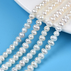 Natural Cultured Freshwater Pearl Beads Strands, Potato, Seashell Color, 3.5~4.5x4.5~6x4.5~5mm, Hole: 0.7mm, about 80~82pcs/strand, 13.94 inch~14.17 inch(35.4cm~36cm)(PEAR-N013-04C)