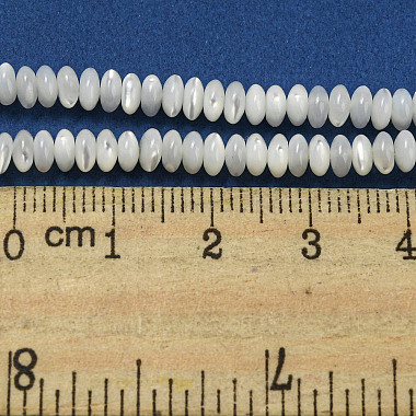 Natural Trochus Shell Beads Strands(SSHEL-H072-11)-4