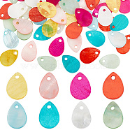 Elite 80Pcs 8 Styles Freshwater Shell Dyed Teardrop Charms, Mixed Color, 13x9~10x1~1.5mm, Hole: 1~1.2mm, 10pcs/style(FIND-PH0018-28)