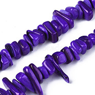Natural Trochid Shell/Trochus Shell Beads Strands, Dyed, Chips, Blue Violet, 7~22x5~8x1~6.5mm, Hole: 1mm, about 96~111pcs/strand, 14.37 inch~15.75 inch(36.5cm~40cm)(SHEL-S258-080-B10)