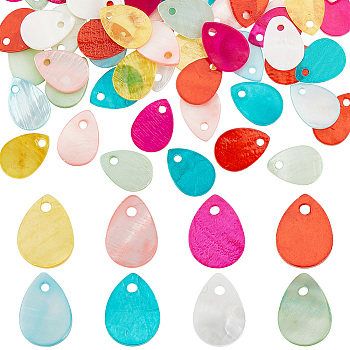 Elite 80Pcs 8 Styles Freshwater Shell Dyed Teardrop Charms, Mixed Color, 13x9~10x1~1.5mm, Hole: 1~1.2mm, 10pcs/style