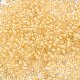 12/0 Transparent Glass Seed Beads(SEED-F003-03C-14)-3