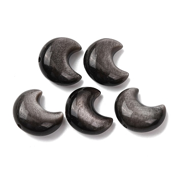 Natural Silver Obsidian Beads, Moon, 17.5x14.5~15x8~9mm, Hole: 1.2mm