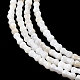 Natural Freshwater Shell Beads Strands(SHEL-A006-04A)-3
