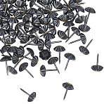 Iron Nails, Sofa Foam Nails, for Furniture Decoration, Pumpkin, Electrophoresis Black, 17.5x10.5mm, Pin: 1.5mm, 100pcs/box(IFIN-GA0001-12)