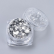 Foil Flakes, DIY Gilding Flakes, for Epoxy Jewelry Accessories Filler, Silver, Box: 2.9x1.6cm(X-DIY-E032-02E)