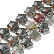 Natural African Bloodstone Beads Strands, with Seed Beads, Star, 14~15.5x15~16x6.5~7mm, Hole: 1mm, about 24~25pcs/strand, 15.55''~15.95''(39.5~40.5cm)(G-NH0005-003)
