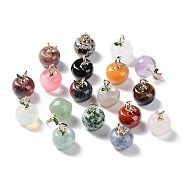 Mixed Gemstone Pendants, with Alloy Enamel Loops, Apple, for Teacher's Day, 16x14mm, Hole: 4x2mm(G-P499-01G)