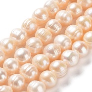Natural Cultured Freshwater Pearl Beads Strands, Potato, Grade AB, PeachPuff, 10~12x9~11mm, Hole: 0.6mm, about 34pcs/strand, 13.98''(35.5cm)(PEAR-E019-13)