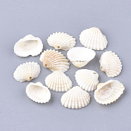 Spiral Shell Charms, Shell, Creamy White, 21~29.5x17.5~24x6~10.5mm, Hole: 1.2mm(X-SSHEL-S251-14)