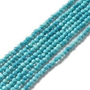 Natural Howlite Beads Strands, Dyed, Faceted, Round, Medium Turquoise, 2mm, Hole: 0.6mm, about 198pcs/strand, 15.20 inch(38.6cm)(G-C025-02A-01)