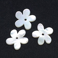 Natural White Shell Beads, Mother of Pearl Shell Beads, Flower, White, 15x16x1mm, Hole: 1mm(X-SSHEL-I008-03)
