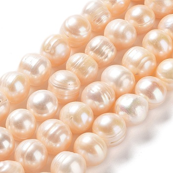 Natural Cultured Freshwater Pearl Beads Strands, Potato, Grade AB, PeachPuff, 10~12x9~11mm, Hole: 0.6mm, about 34pcs/strand, 13.98''(35.5cm)