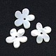 Natural White Shell Beads(X-SSHEL-I008-03)-1