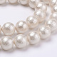Wrinkle Textured Shell Pearl Beads Strands(X-BSHE-E016-8mm-07)-1