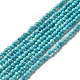 Natural Howlite Beads Strands(G-C025-02A-01)-1