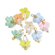 ABS Plastic Imitation Pearl Pendants, with Real 18K Gold Plated Brass Loops and Acrylic Beads, Mixed Color, 15.5~16x12x11.5mm, Hole: 1.6mm(KK-C046-04)