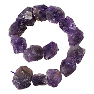 Rough Raw Natural Amethyst Beads Strands, Nuggets, 11~25x11~20mm, Hole: 1.2mm, about 12~15pcs/strand, 7.48 inch~7.87 inch(19~20cm)(G-OC0003-75)