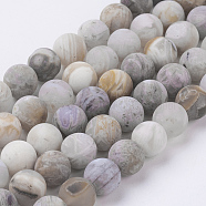 Natural Bamboo Leaf Agate Beads Strands, Frosted, Round, 8mm, Hole: 0.8mm, about 47pcs/strand, 15.3 inch(39cm)(X-G-J376-13F-8mm)