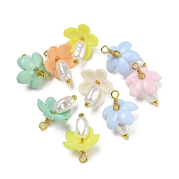 ABS Plastic Imitation Pearl Pendants, with Real 18K Gold Plated Brass Loops and Acrylic Beads, Mixed Color, 15.5~16x12x11.5mm, Hole: 1.6mm