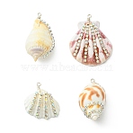4Pcs 4 Styles Natural Mixed Shell Pendants, Shell Shape Charms with Brass Crystal AB Rhinestone Findings, Silver Color Plated, Mixed Color, 28~42x21~33x6~18.5mm, 1pc/style(PALLOY-TA00417)