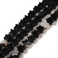 Natural Black Agate Beads Strands, Star, 4x4.5x2mm, Hole: 0.8mm, about 102pcs/strand, 15.35 inch(39cm)(G-G085-B42-01)