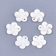 Carved Freshwater Shell Pendants, Flower, Ivory, 19~19.5x20~20.5x2mm, Hole: 1.6mm(SHEL-T012-53)