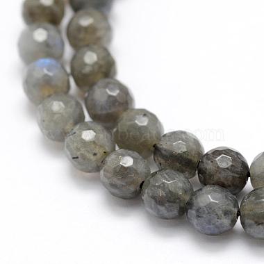 Natural Labradorite Beads Strands(G-P322-30-6mm)-3