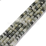 Natural Green Line Jaspe Beads Strands, Flat Round, 4x2mm, Hole: 1mm, about 169pcs/strand, 14.96''(38cm)(G-P468-12)