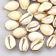 Cowrie Shell Pendants, with Metal Findings, Natural Color, Golden, 23~27x15~17x10~12mm, Hole: 1.5mm(SSHEL-S258-01B)