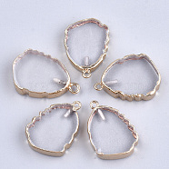 Electroplate Natural Quartz Crystal Pendants, with Iron Findings, Golden, 28~29x19~20x5~6mm, Hole: 1.6mm(G-S344-19C)