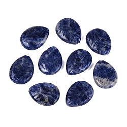 Natural Sodalite Beads, Leaf, 18~19x14x5mm, Hole: 1.2mm(G-Q606-39)