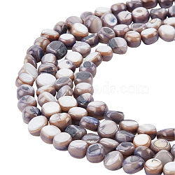 5 Strands Natural Freshwater Shell Beads Strands, Dyed, Nuggets, Slate Blue, 7~9x7~8x2.5~6mm, Hole: 0.8mm(SHEL-CA0001-012)