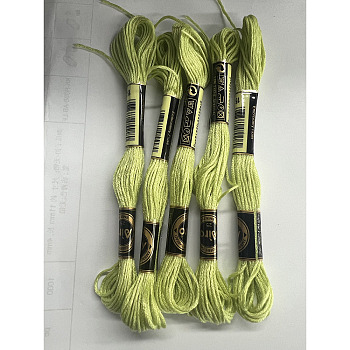 Polyester Embroidery Floss, Cross Stitch Threads, Lawn Green, 1mm, about 8.75 Yards(8m)/Bundle