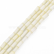 Glass Silk Stain Style Beads Strands, Tube, Champagne Yellow, 3.5~5x2~2.5mm, Hole: 1mm, about 90~92pcs/strand, 15.43 inch~15.75 inch(39.2cm~40cm)(GLAA-N047-001B-02)