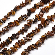 Natural Tiger Eye Chip Bead Strands, 5~8x5~8mm, Hole: 1mm, about 31.5 inch(X-G-M205-03)