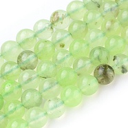 Natural Prehnite Beads Strands, Round, 6.5~7mm, Hole: 1mm, about 62pcs/strand, 15.3~15.5 inch(39~39.5)(X-G-I250-01C)