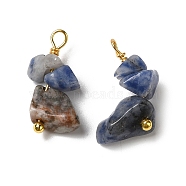 Natural Blue Spot Jasper Pendants, Nuggets Charms with Real 18K Gold Plated Brass Loops, 13~19x7~13x5~7mm, Hole: 1.5~1.6mm(KK-P242-31G-11)
