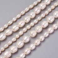 Natural Cultured Freshwater Pearl Beads Strands, Rice, White, 5~11x5~11mm, Hole: 0.5~1mm, about 28~56pcs/strand, 13.39 inch~14.17 inch(34~36cm)(PEAR-L021-21-01A)