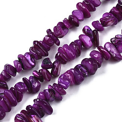 Natural Freshwater Shell Beads Strands, Dyed, Chips, Purple, 2~6x4~14x4.5~8.5mm, Hole: 0.7~0.8mm, about 258~292pcs/strand, 31.10 inch~32.05 inch(79cm~81.4cm)(SHEL-S278-070B)