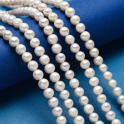 Natural Cultured Freshwater Pearl Beads, Grade A, Round, White, 8~9mm, Hole: 0.5mm, 14.1~14.5 inch(PEAR-D058-1)