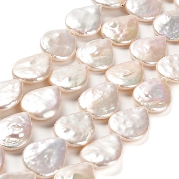 Natural Baroque Pearl Keshi Pearl Beads Strands, Cultured Freshwater Pearl, Teardrop, Grade 7A+, Snow, 17~18x14~14.5x4~4.5mm, Hole: 0.8mm, about 21pcs/strand, 14.96''~15.16''(38~38.5cm)