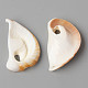 Natural Cowrie Shell Pendants(SSHEL-N032-06)-3